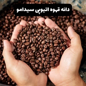 محصول قهوه اتیوپی سیدامو