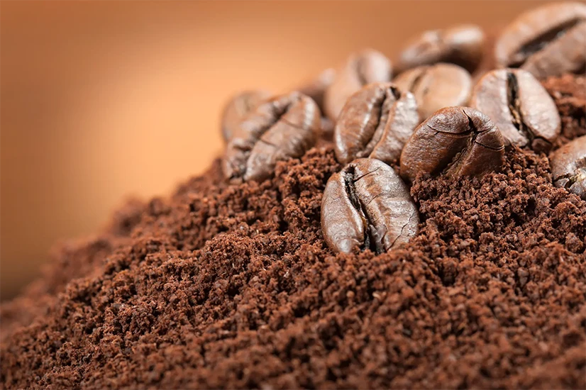 دانه های قهوه با کیفیت مناسب موکاپات