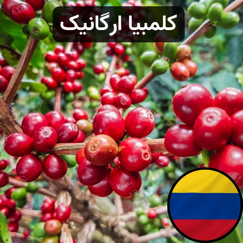 قهوه ارگانیک کلمبیا