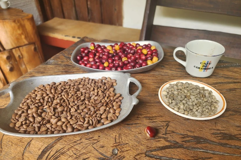 مراحل مختلف پردازش قهوه در کلمبیا. به ترتیب میوه قرمز، قهوه سبز و قهوه رست شده آماده مصرف